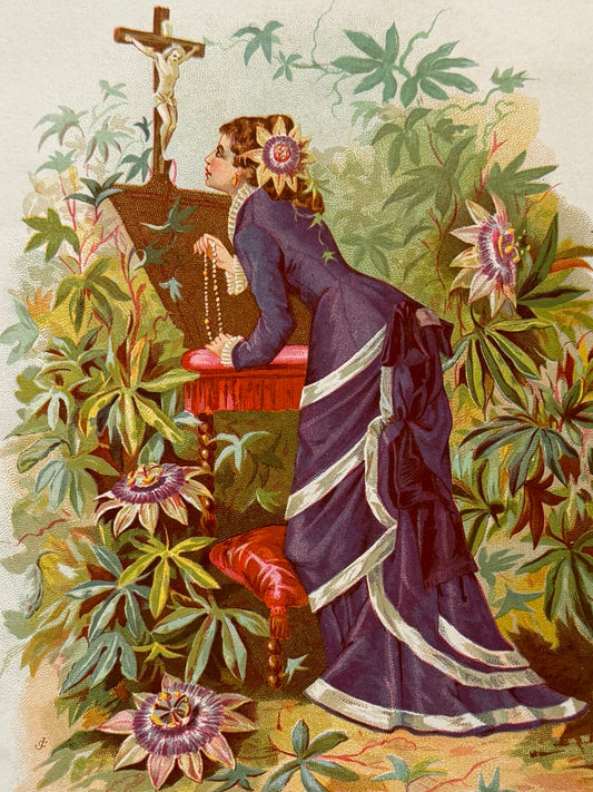 Cromolitografía Pasionaria - La vida de las flores, 1878
