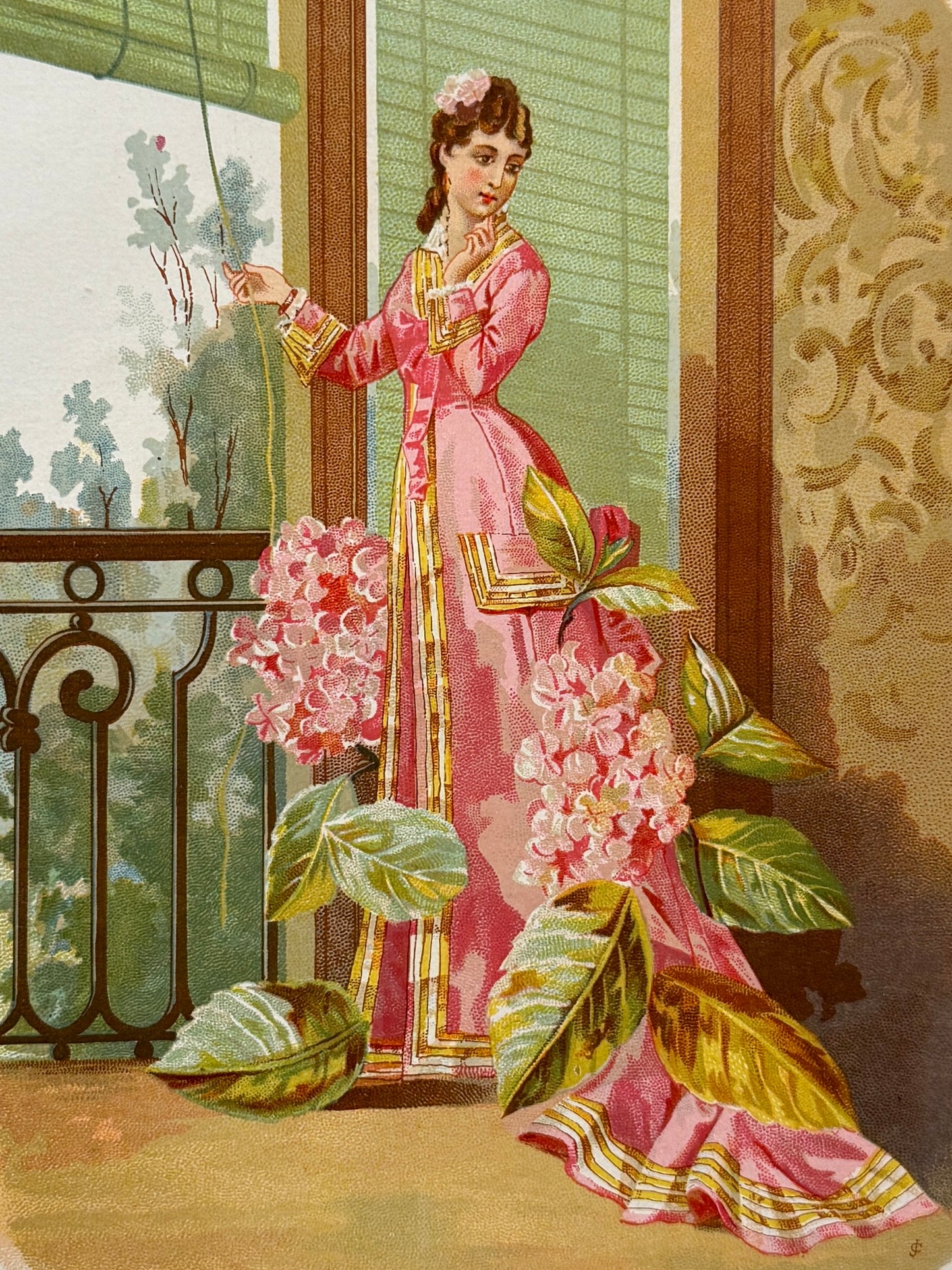 Cromolitografía Hortensia - La vida de las flores, 1878