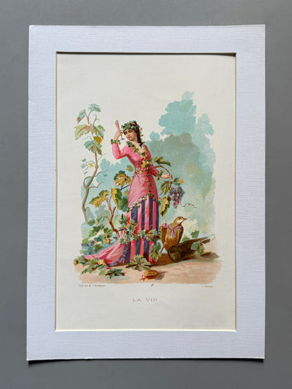 Cromolitografía La vid - La vida de las flores, 1878