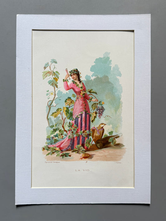 Cromolitografía La vid - La vida de las flores, 1878