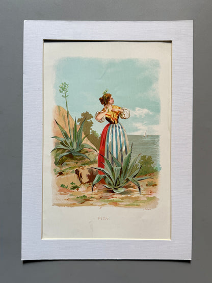Cromolitografía Pita - La vida de las flores, 1878