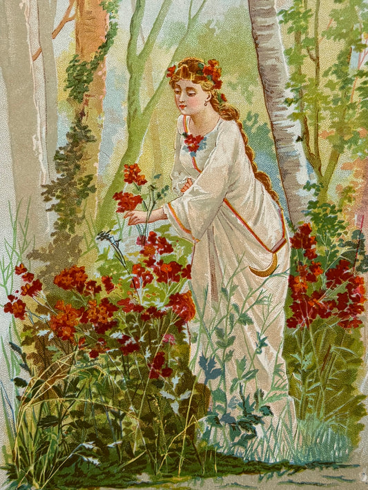 Cromolitografía Verbena - La vida de las flores, 1878