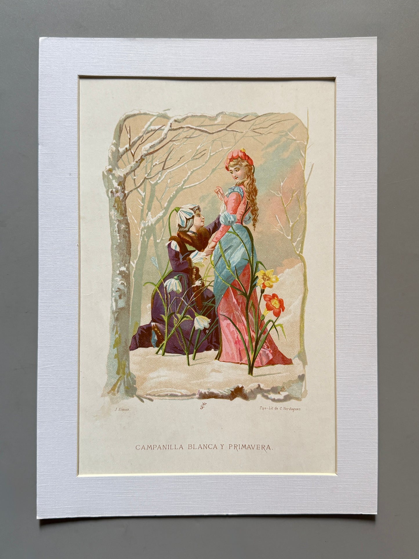 Cromolitografía Campanilla blanca y primavera - La vida de las flores, 1878