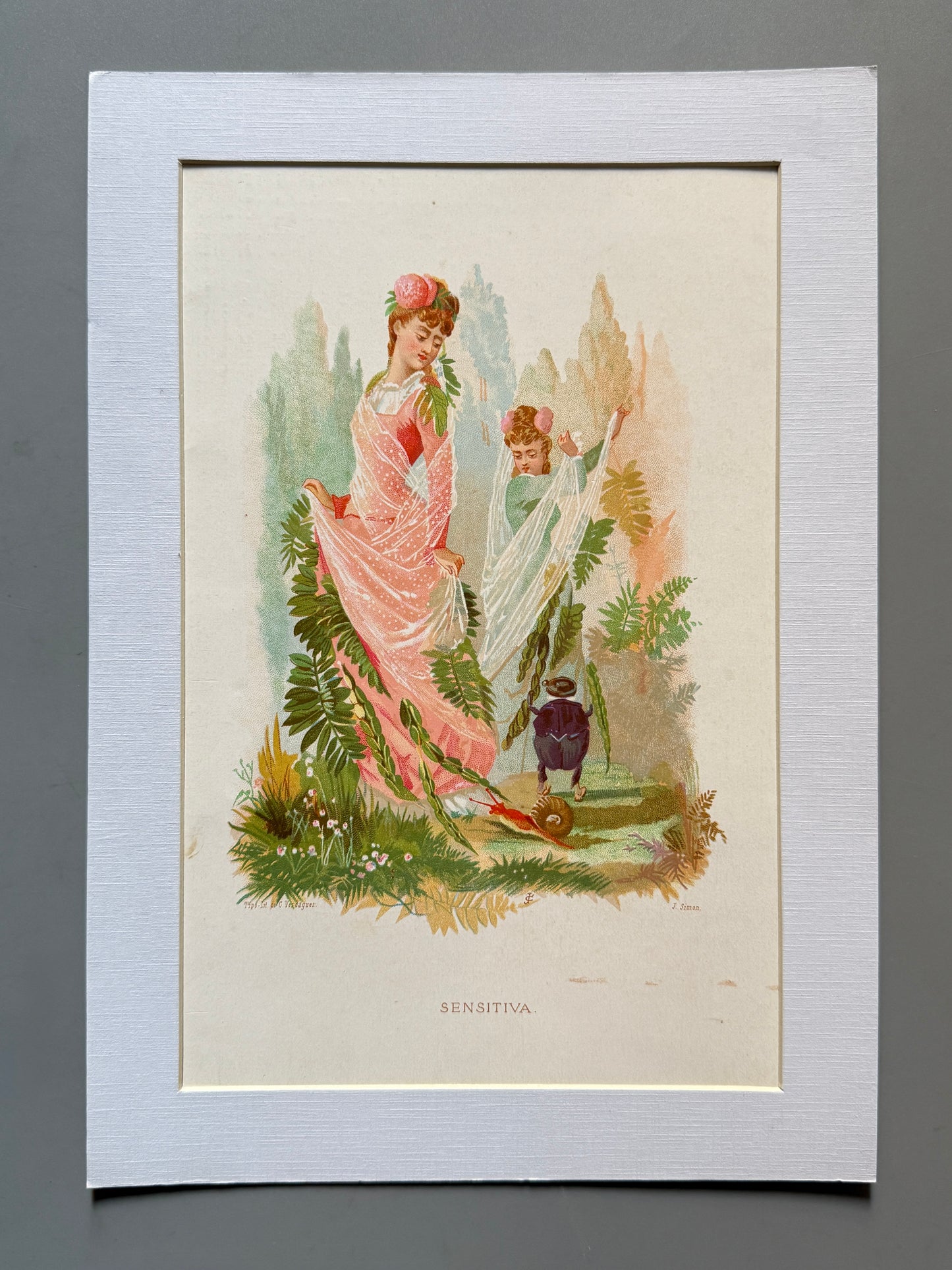 Cromolitografía Sensitiva - La vida de las flores, 1878