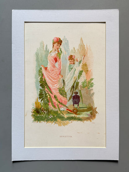 Cromolitografía Sensitiva - La vida de las flores, 1878