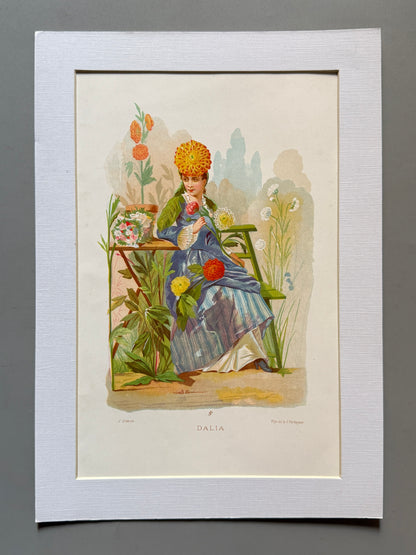 Cromolitografía Dalia - La vida de las flores, 1878
