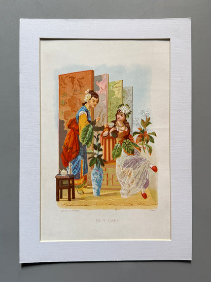 Cromolitografía Té y café - La vida de las flores, 1878