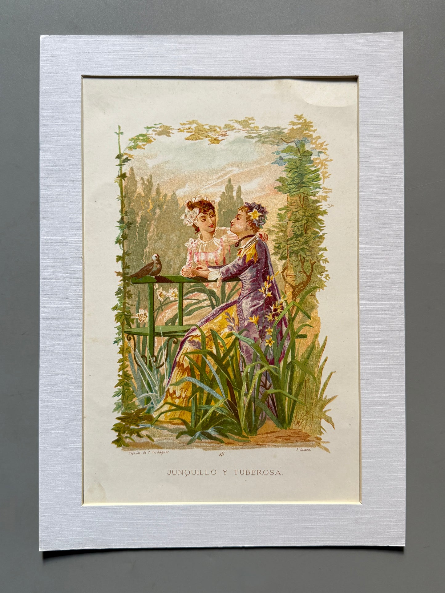 Cromolitografía Junquillo y Tuberosa - La vida de las flores, 1878