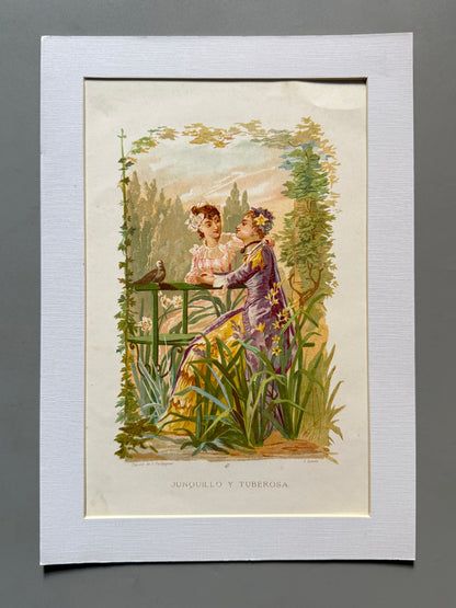 Cromolitografía Junquillo y Tuberosa - La vida de las flores, 1878