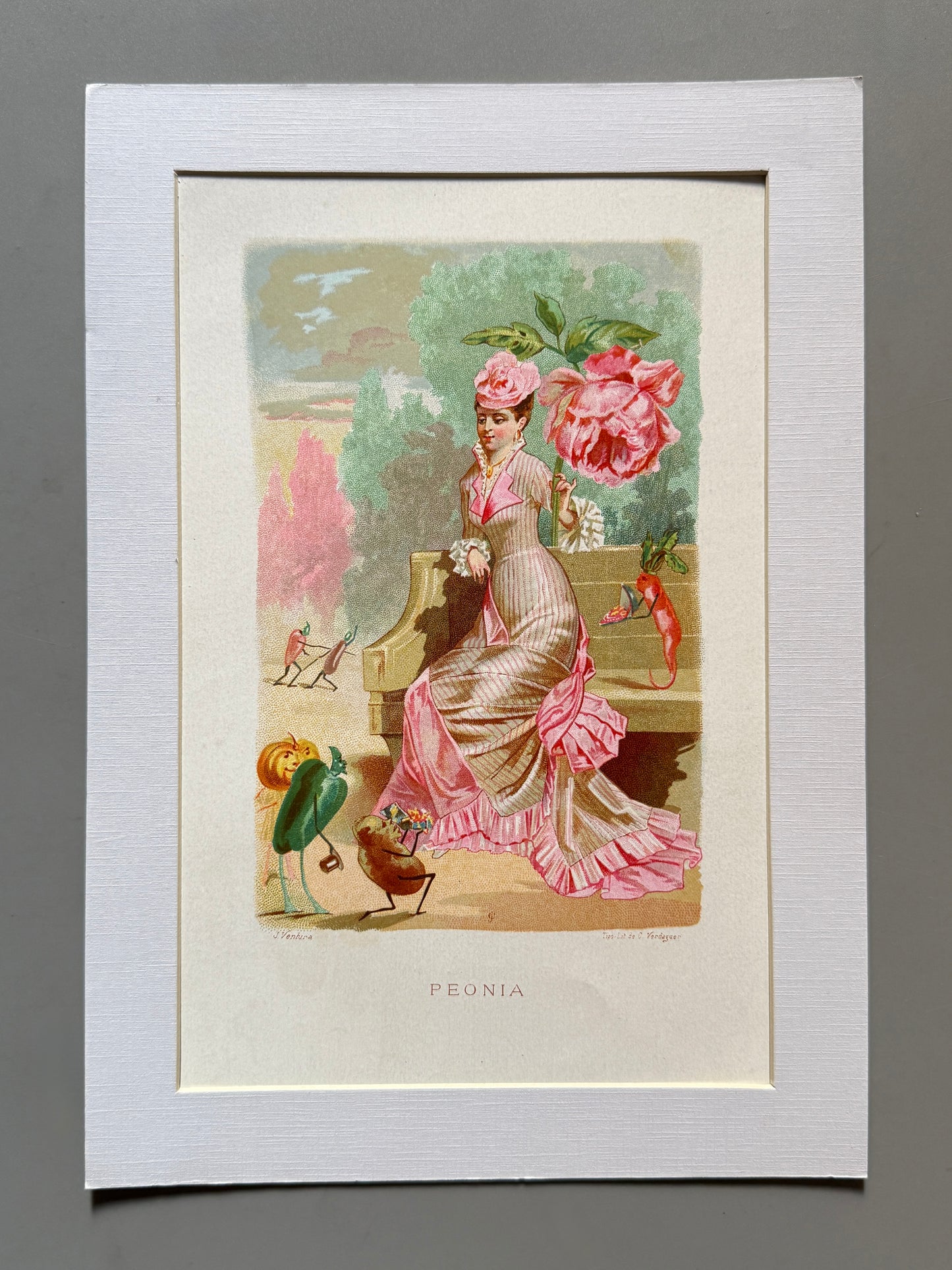 Cromolitografía Peonia - La vida de las flores, 1878