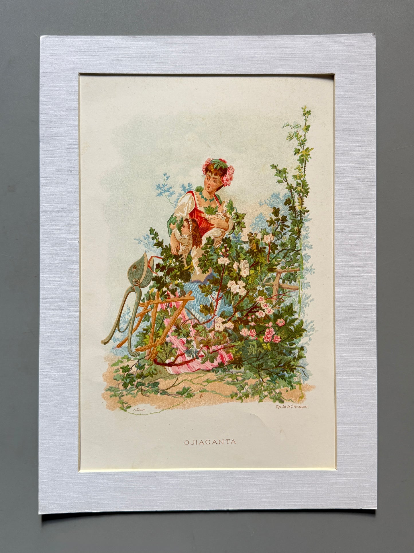 Cromolitografía Ojicanta - La vida de las flores, 1878
