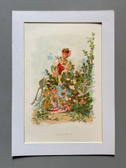 Cromolitografía Ojicanta - La vida de las flores, 1878
