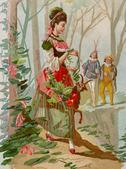 Cromolitografía Madreselva - La vida de las flores, 1878