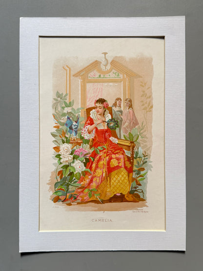 Cromolitografía Camelia - La vida de las flores, 1878