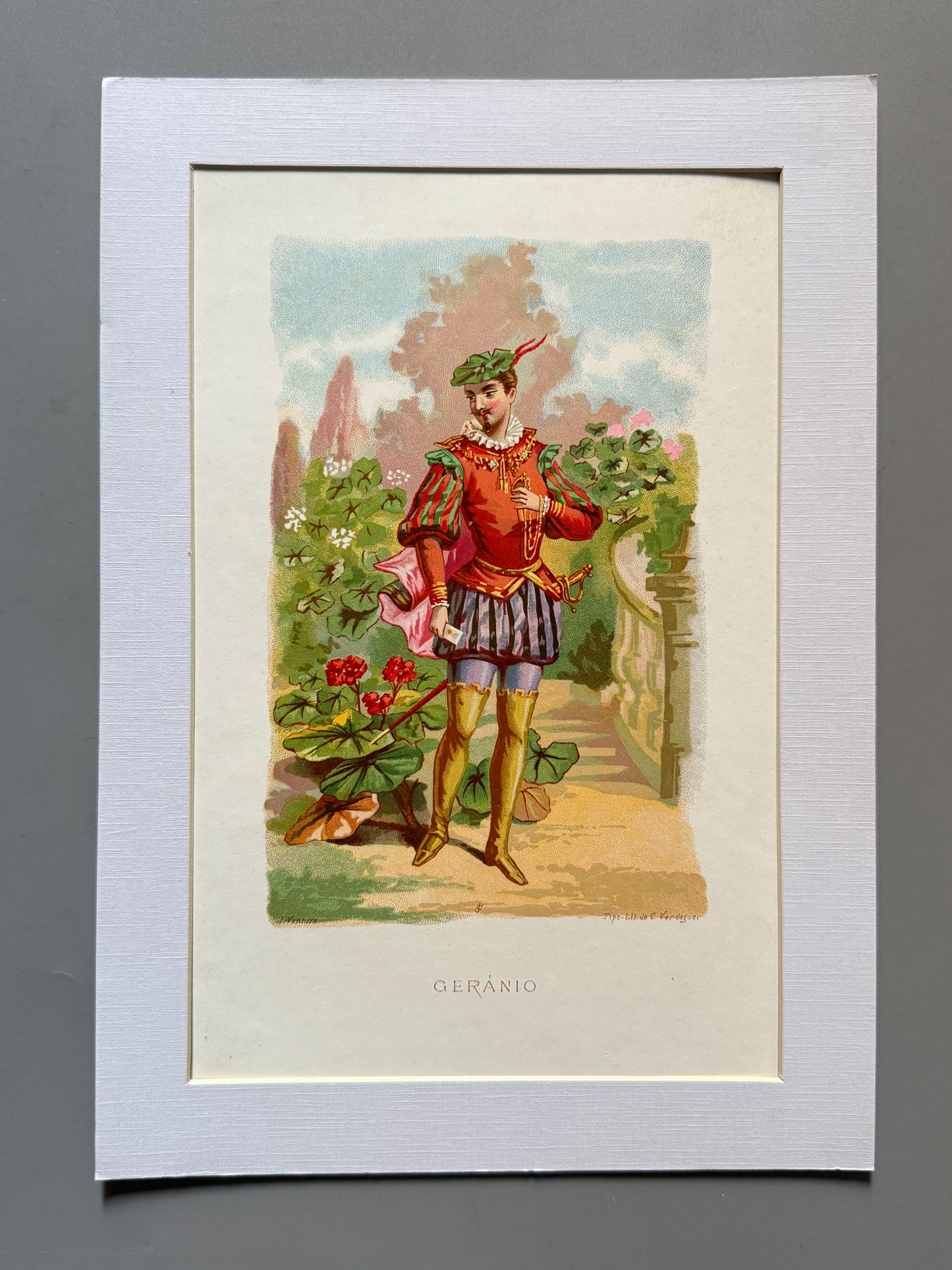 Cromolitografía Geranio - La vida de las flores, 1878