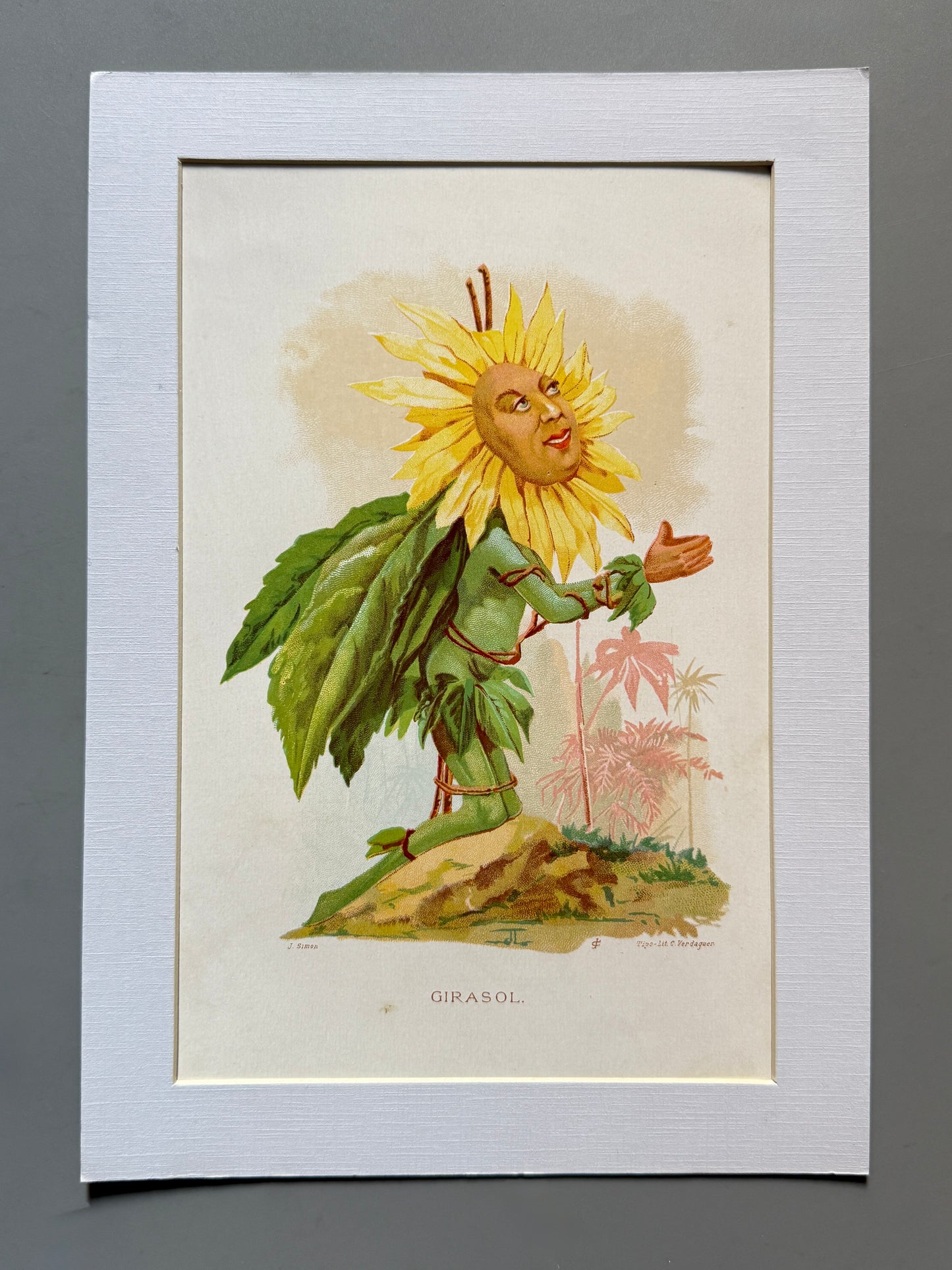 Cromolitografía Girasol - La vida de las flores, 1878