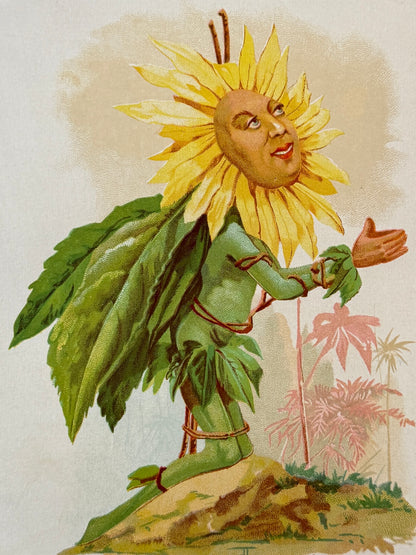 Cromolitografía Girasol - La vida de las flores, 1878