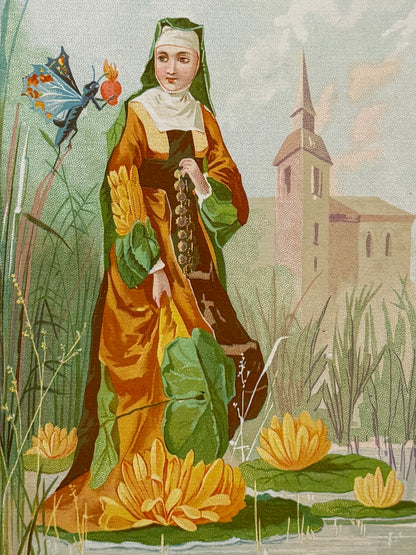 Cromolitografía Nenúfar - La vida de las flores, 1878