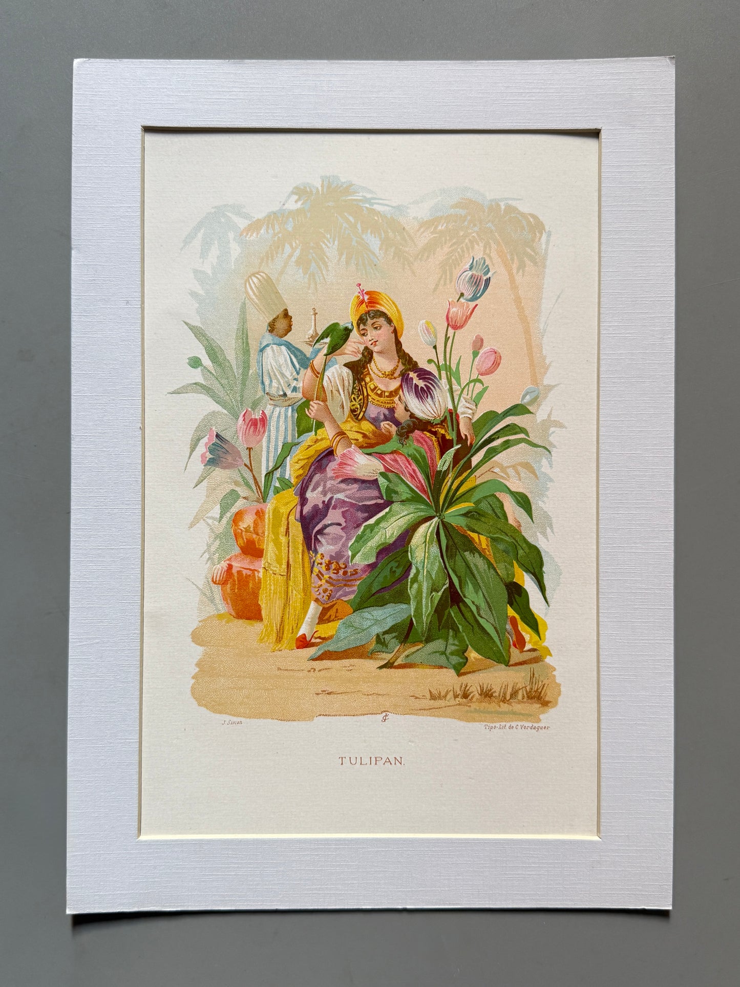 Cromolitografía Tulipan - La vida de las flores, 1878