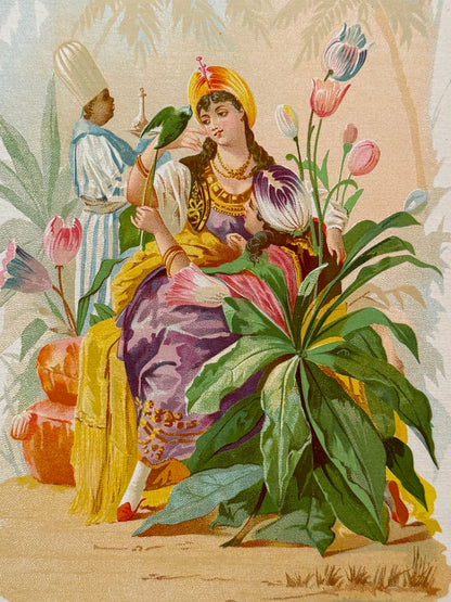 Cromolitografía Tulipan - La vida de las flores, 1878