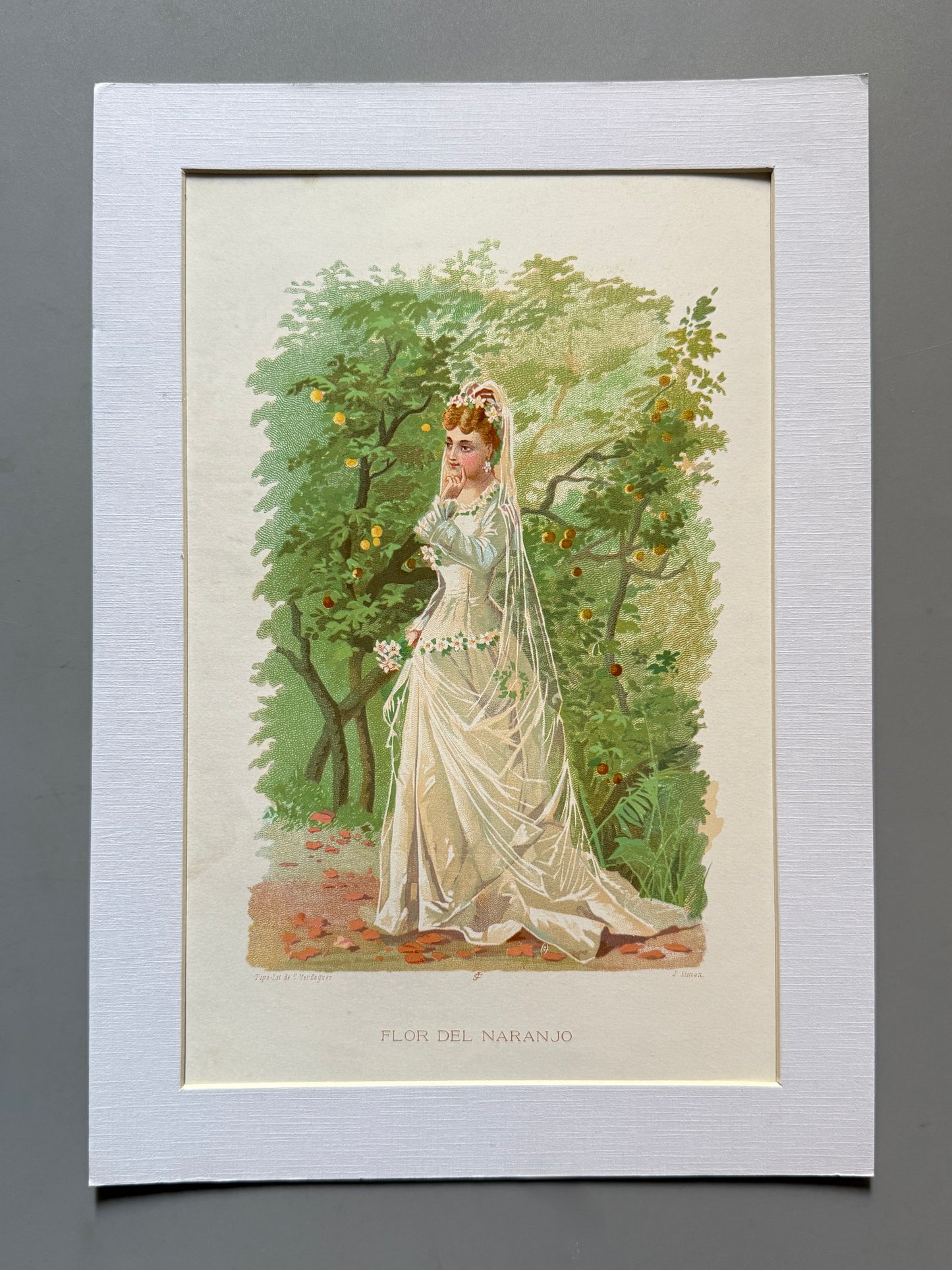 Cromolitografía Flor de naranjo - La vida de las flores, 1878