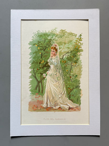 Cromolitografía Flor de naranjo - La vida de las flores, 1878