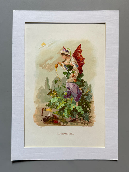 Cromolitografía Adormidera - La vida de las flores, 1878