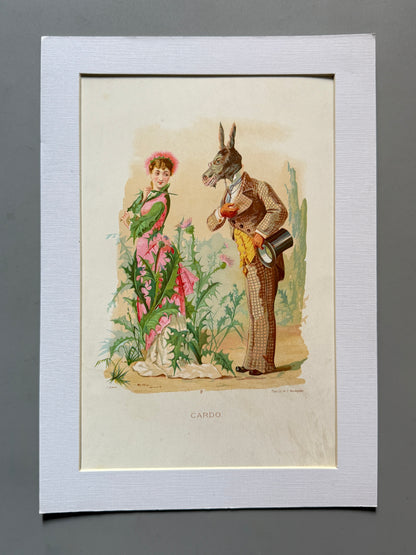 Cromolitografía Cardo - La vida de las flores, 1878