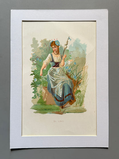 Cromolitografía Lino - La vida de las flores, 1878