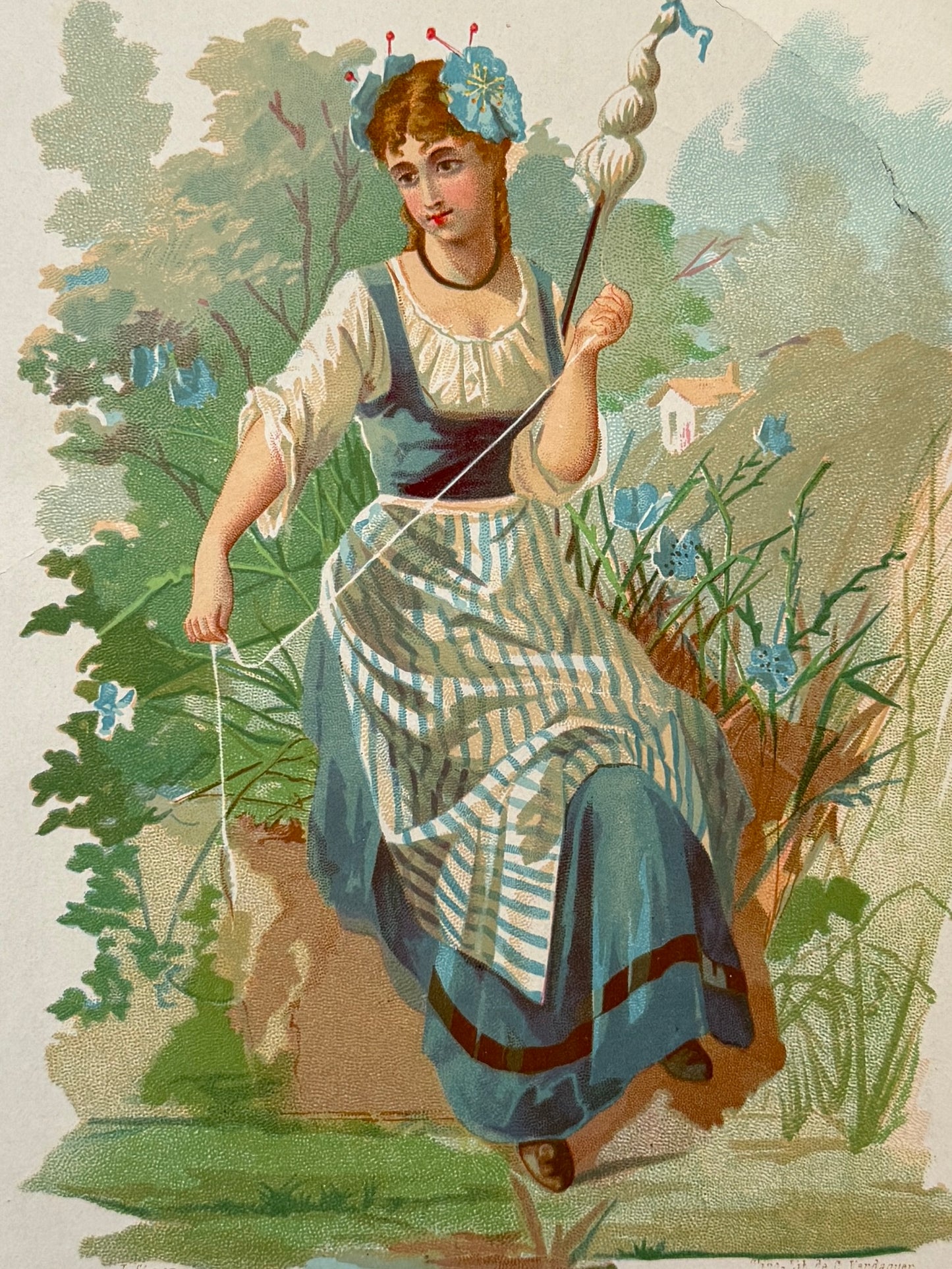 Cromolitografía Lino - La vida de las flores, 1878