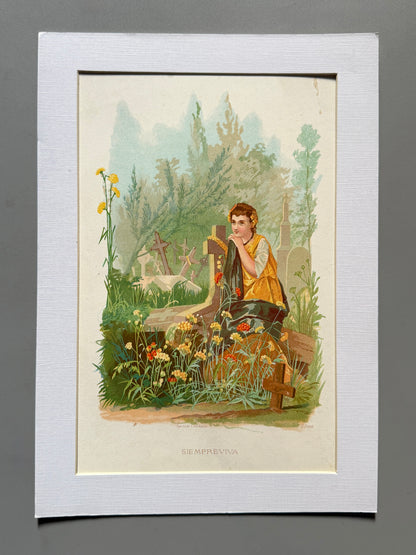 Cromolitografía Siempreviva - La vida de las flores, 1878