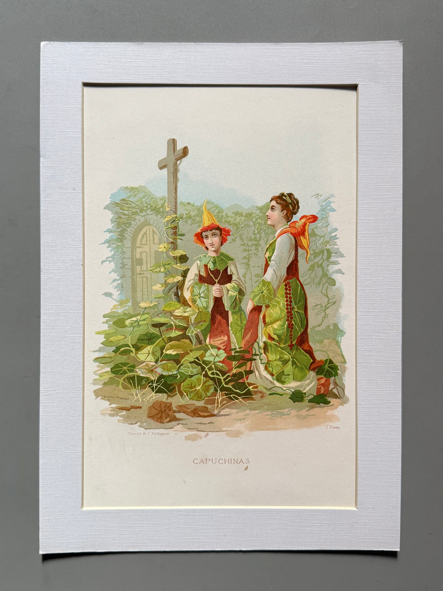 Cromolitografía Capuchina - La vida de las flores, 1878