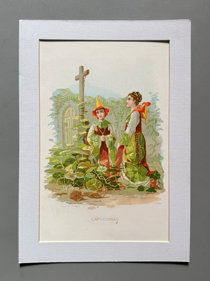 Cromolitografía Capuchina - La vida de las flores, 1878