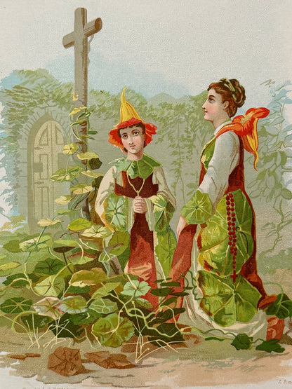 Cromolitografía Capuchina - La vida de las flores, 1878