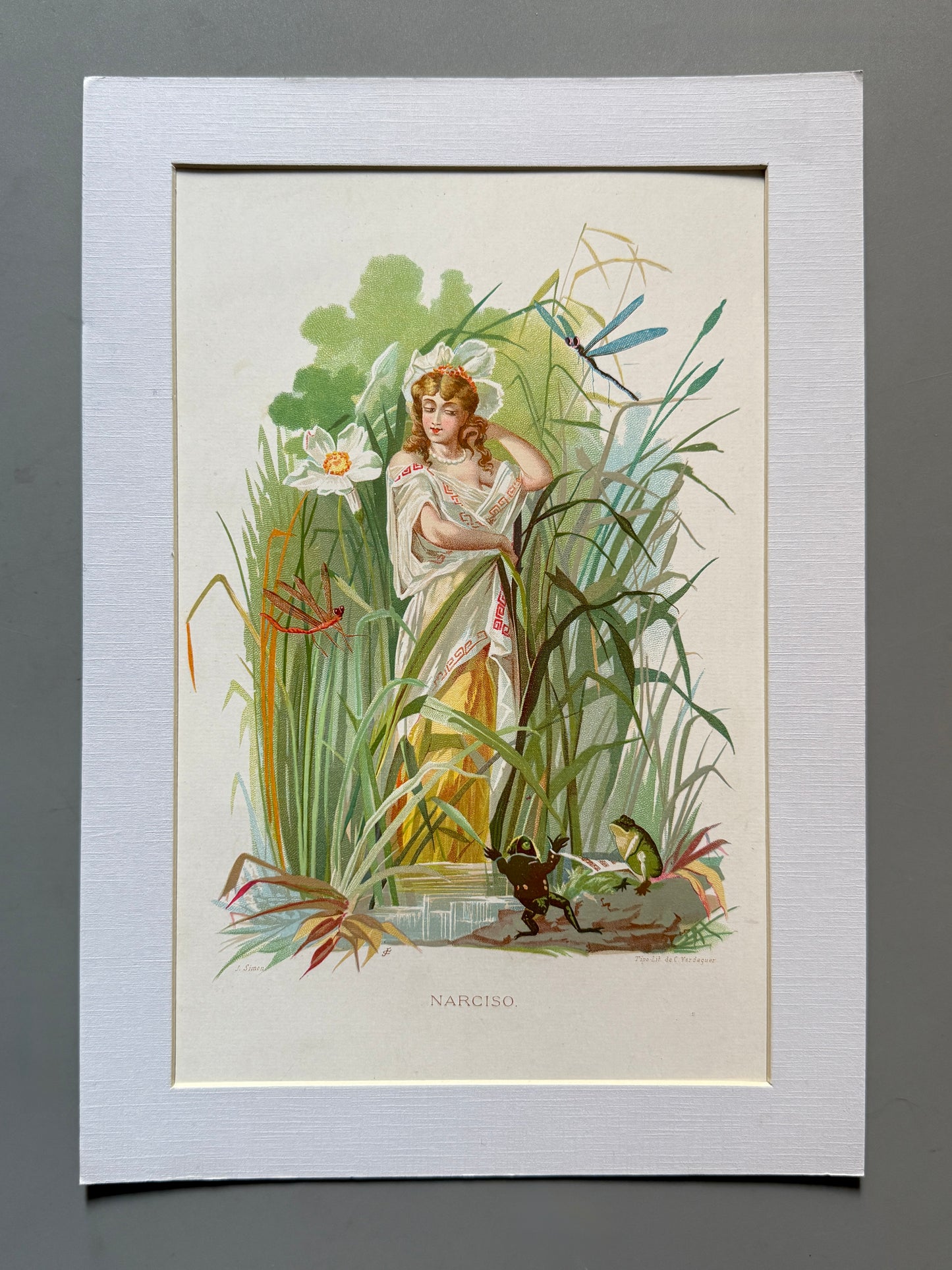 Cromolitografía Narciso - La vida de las flores, 1878