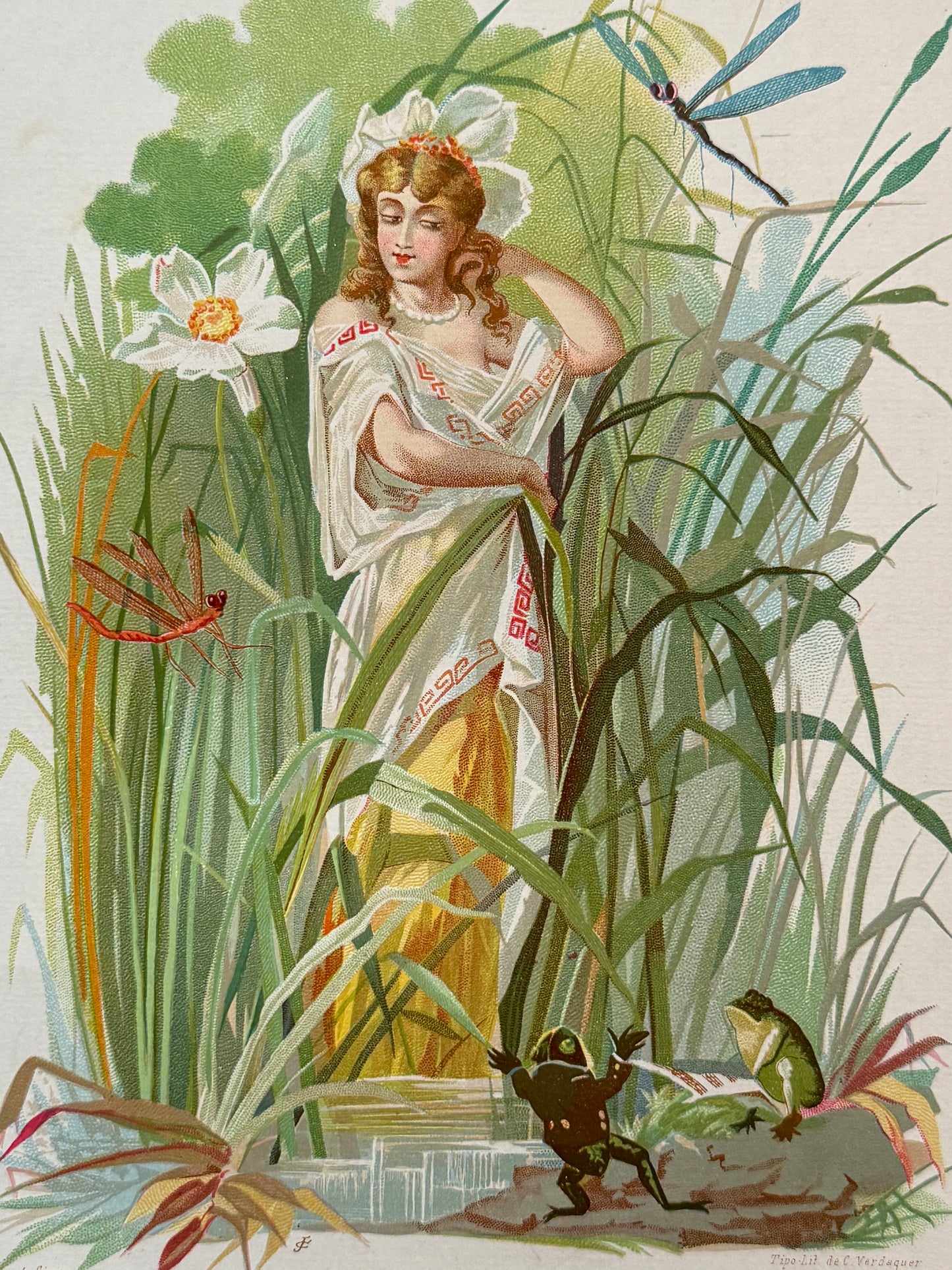Cromolitografía Narciso - La vida de las flores, 1878