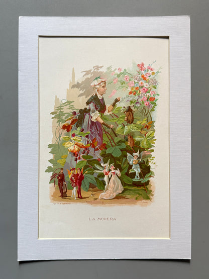 Cromolitografía Morera - La vida de las flores, 1878