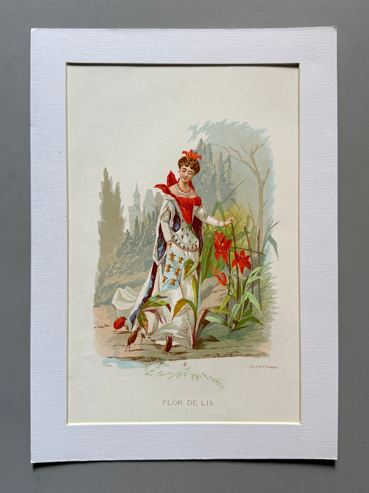 Cromolitografía Flor de Lis - La vida de las flores, 1878