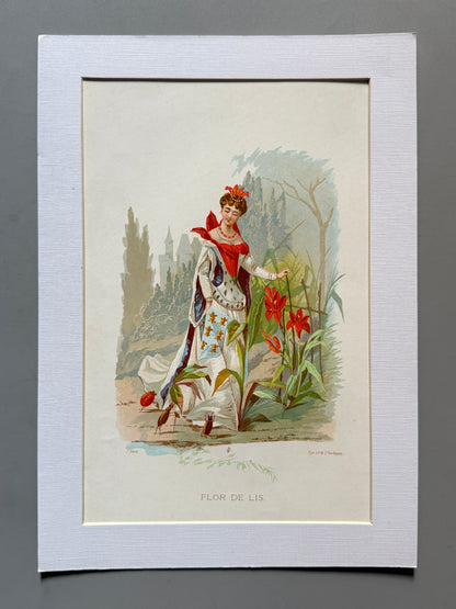 Cromolitografía Flor de Lis - La vida de las flores, 1878
