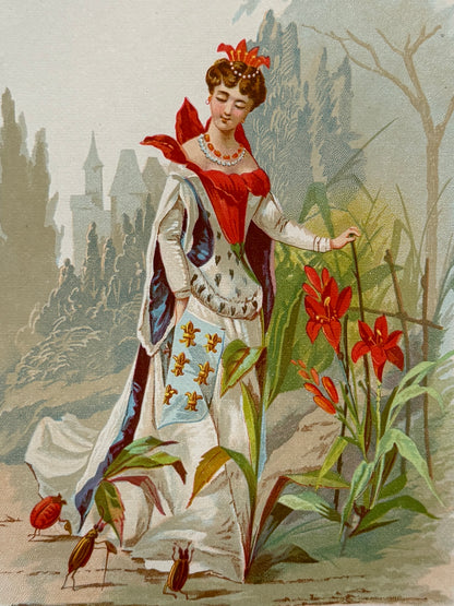 Cromolitografía Flor de Lis - La vida de las flores, 1878