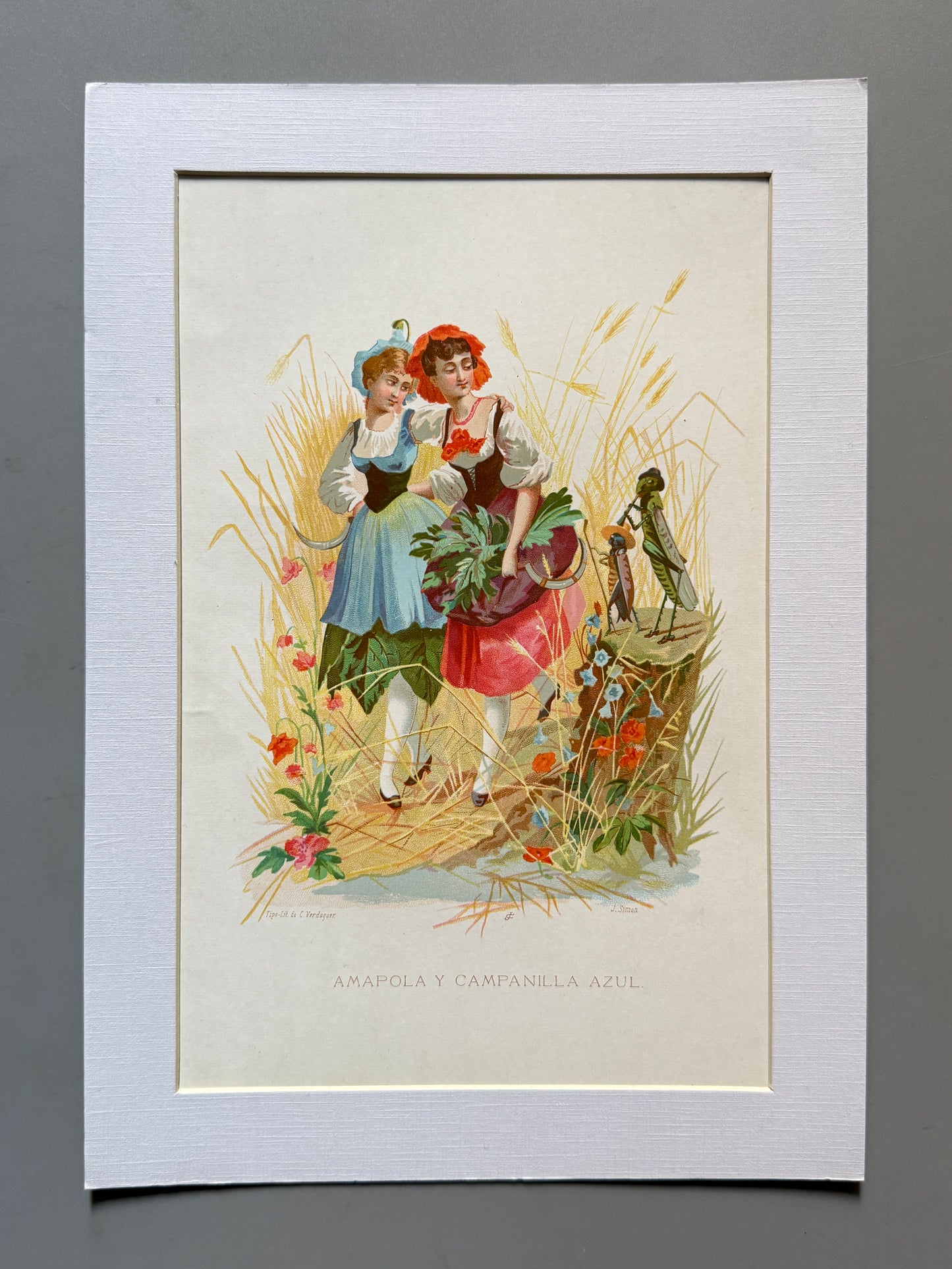 Cromolitografía Amapola y Campanilla azul - La vida de las flores, 1878