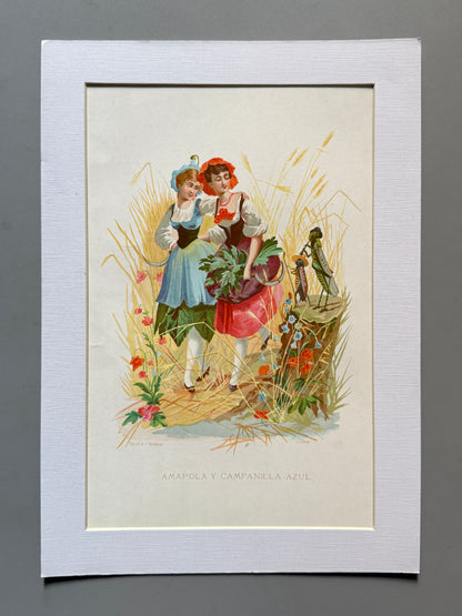 Cromolitografía Amapola y Campanilla azul - La vida de las flores, 1878