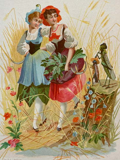 Cromolitografía Amapola y Campanilla azul - La vida de las flores, 1878