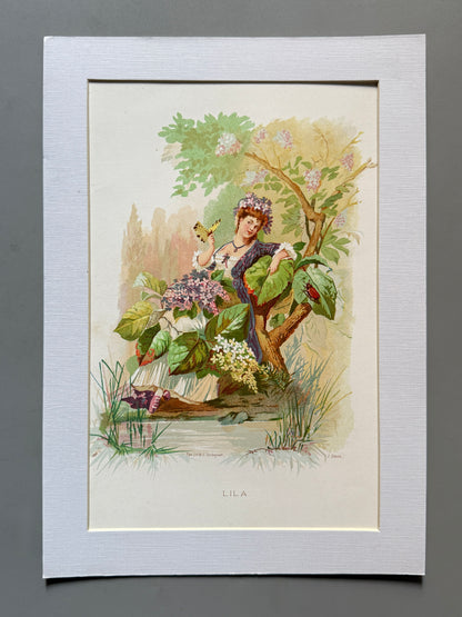 Cromolitografía Lila - La vida de las flores, 1878