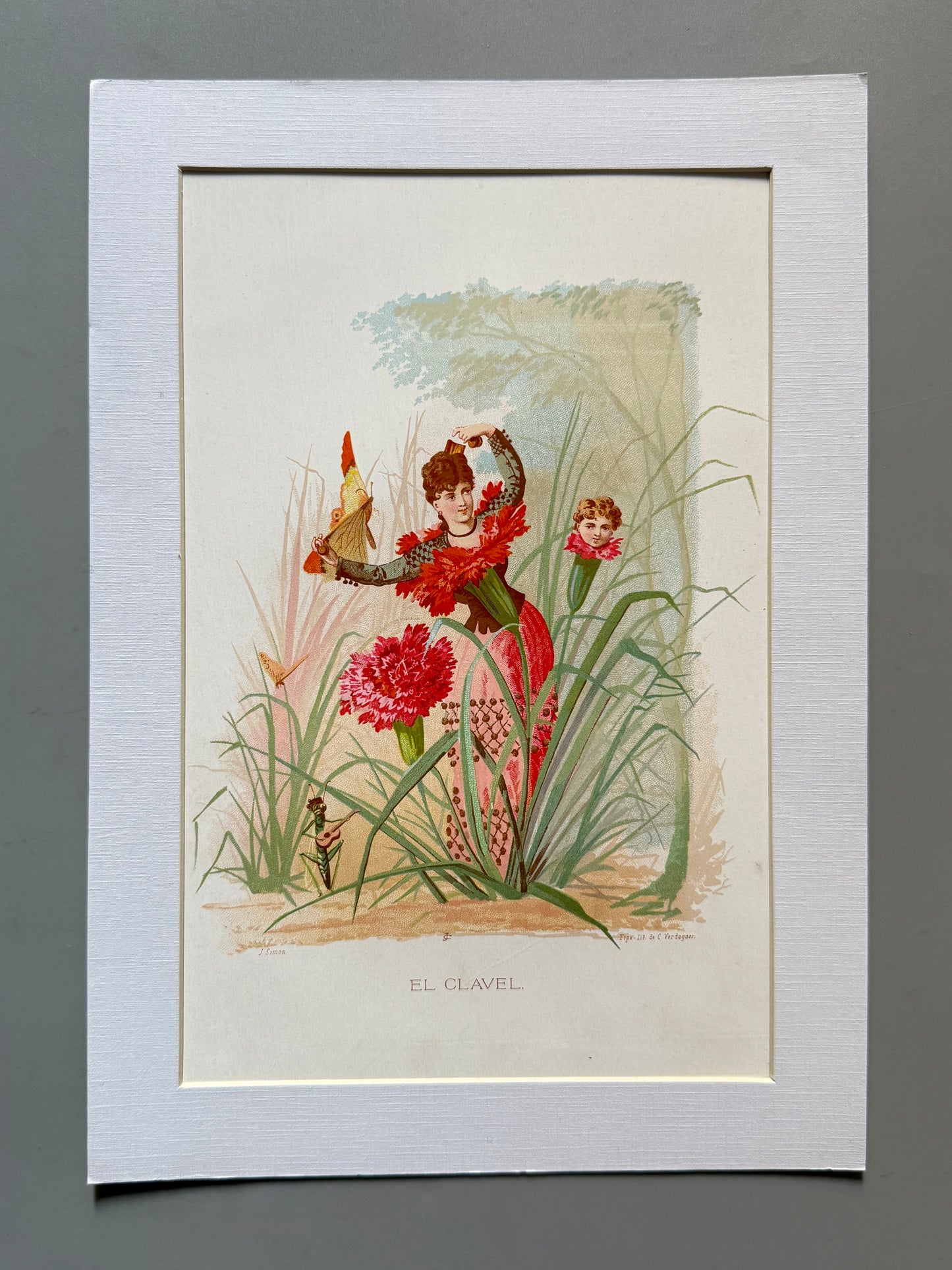 Cromolitografía Clavel - La vida de las flores, 1878