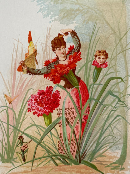 Cromolitografía Clavel - La vida de las flores, 1878