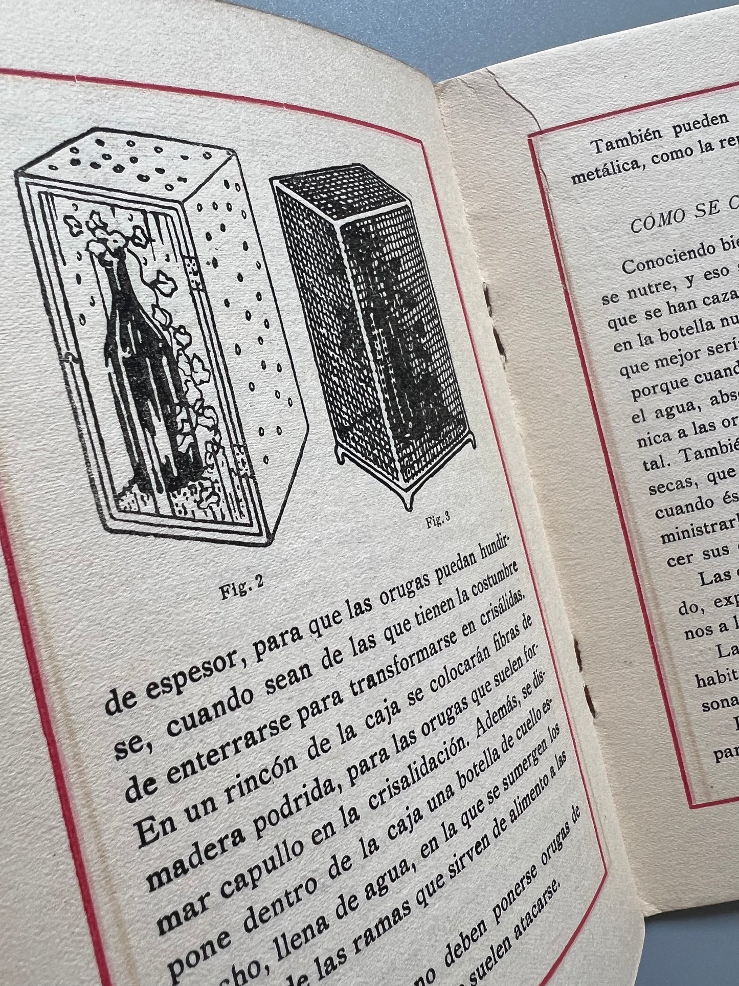 Colección de orugas. Pasatiempos - Editorial Muntañola, ca. 1930