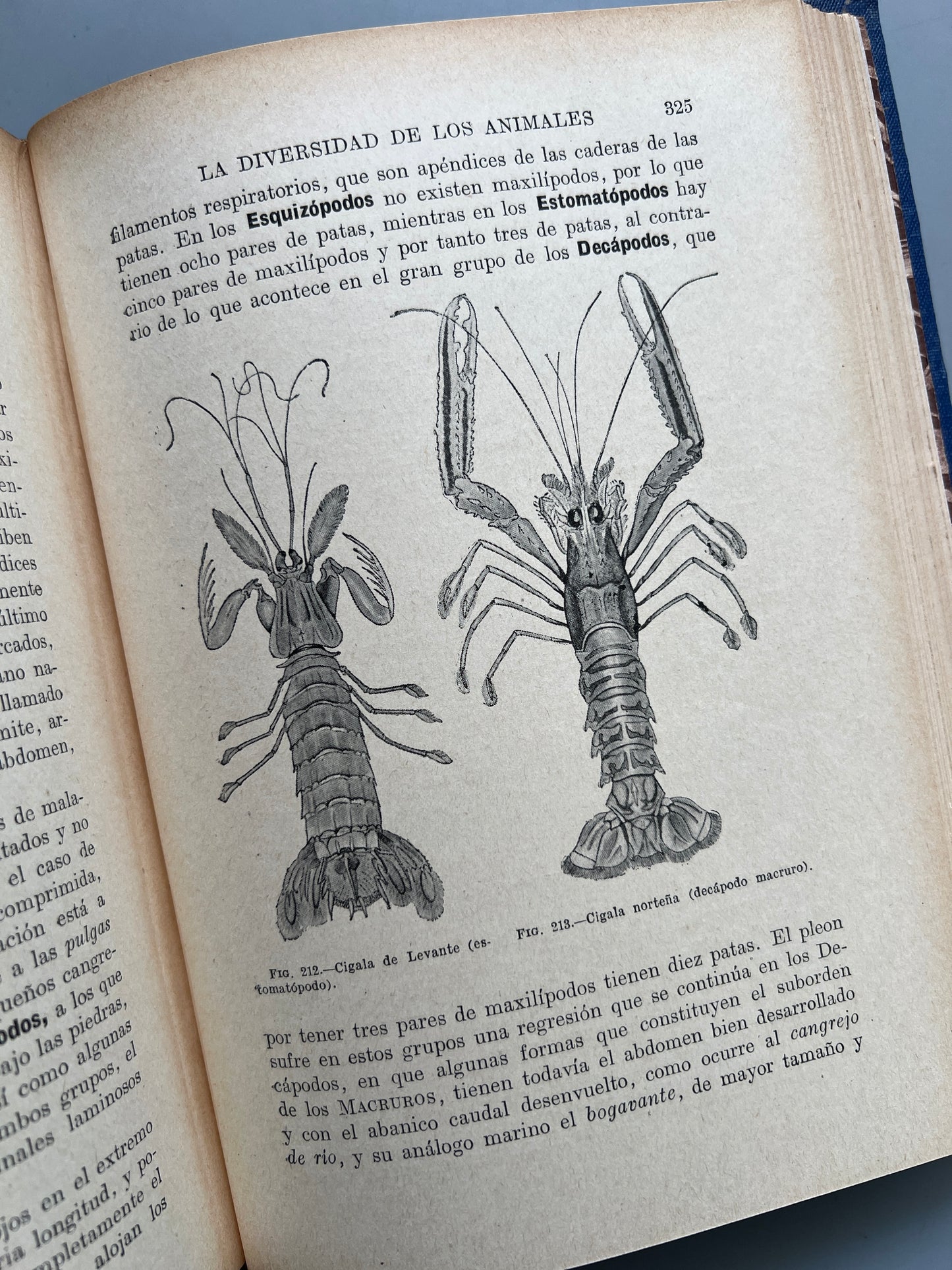 Historia natural, Celso Arévalo - Editorial Ramón Sopena, 1935