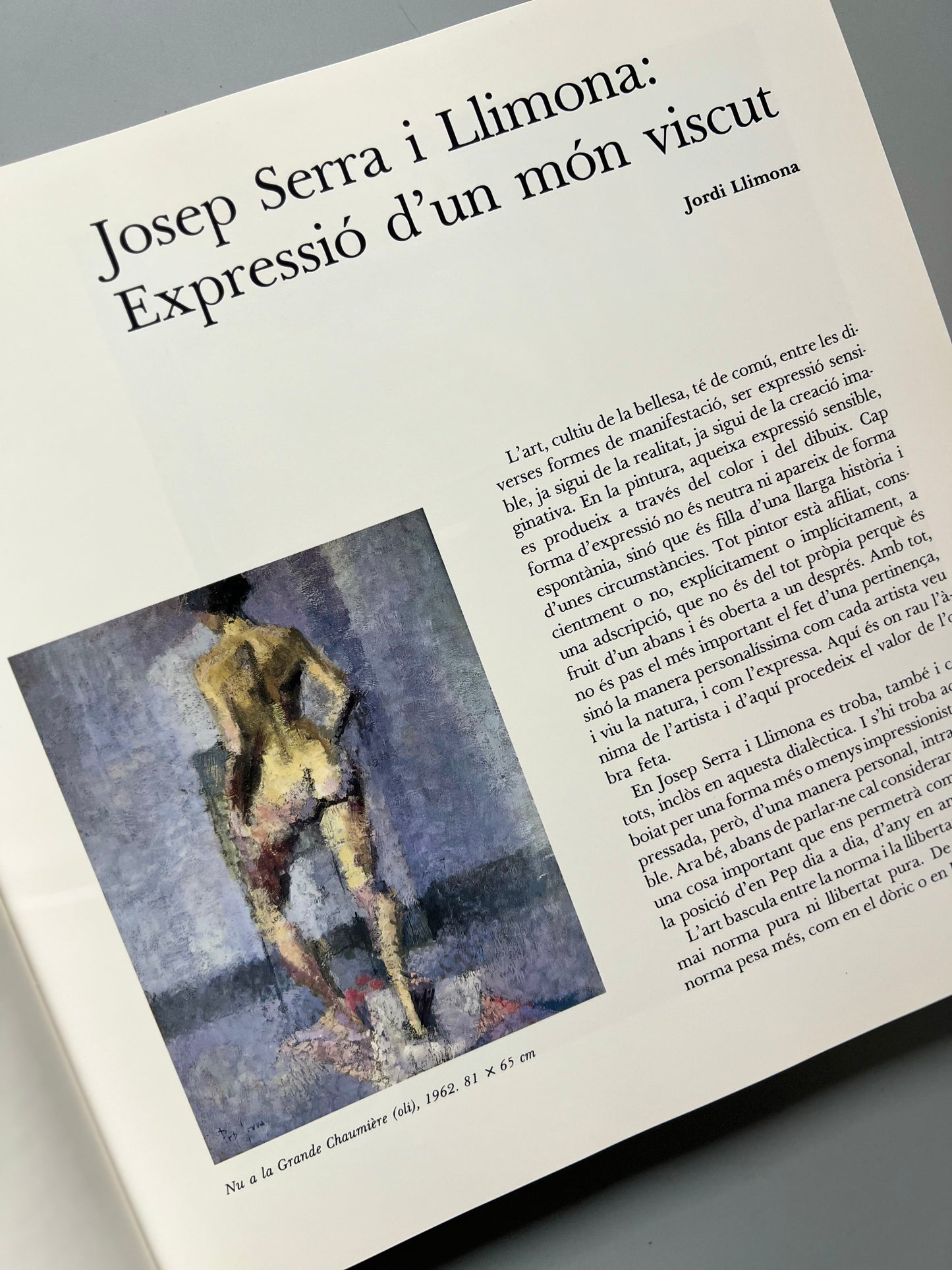 Libro de arte Josep Serra i Llimona (firmado y dedicado) + lámina firmada y numerada - Ediciones Mayo, 1991