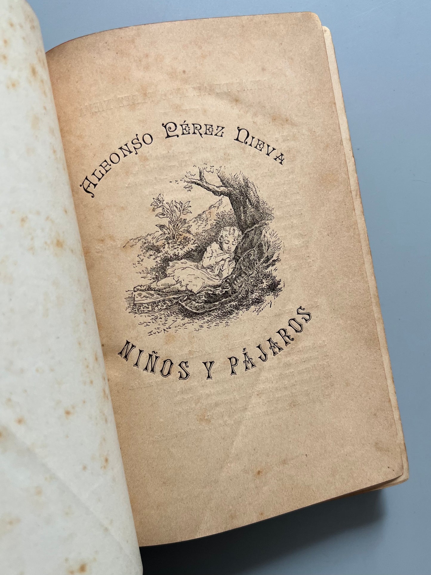 Niños y pájaros, novelas infantiles, Alfonso Pérez Nieva - Librería de Antonio J. Bastinos, 1892